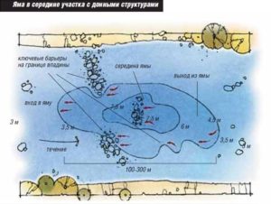 Hol lehet ősszel elkapni a sólymot egy jig-en