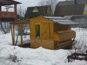 Winter chicken coop