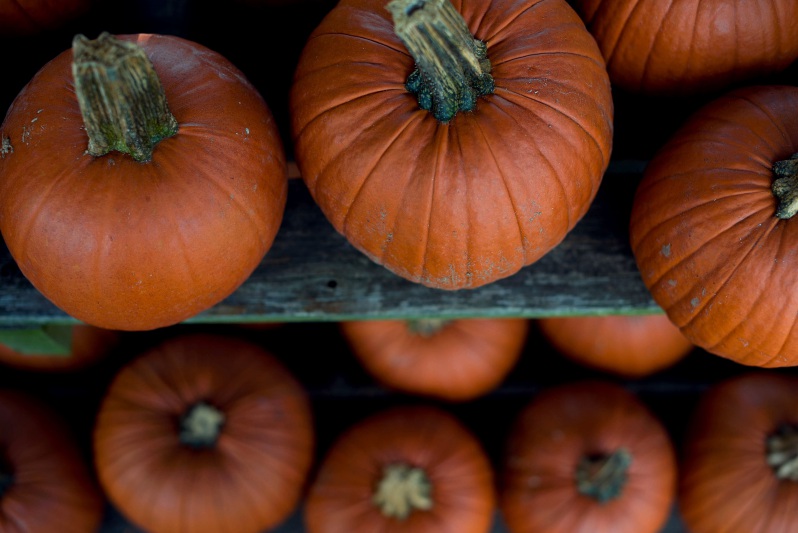 Pumpkin is a wonderful and healthy vegetable. Proper storage will help maintain beneficial properties throughout the winter.