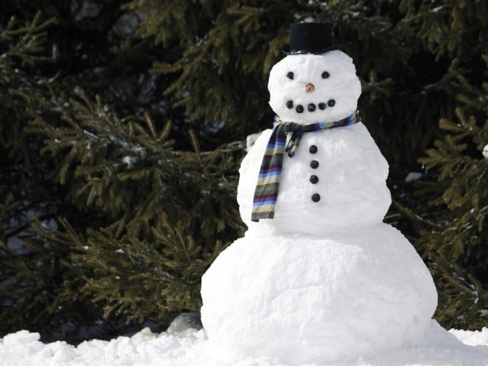 How to make a snowman out of snow with your own hands
