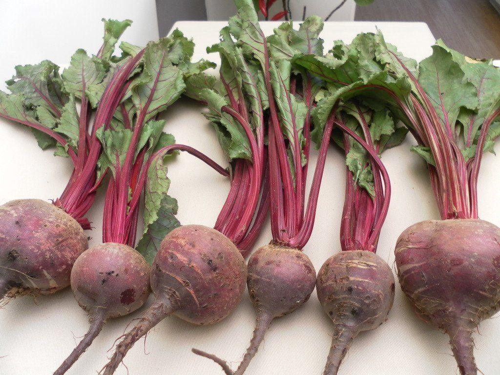 How to keep beets for the winter in an apartment