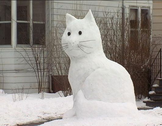 DIY snow cat