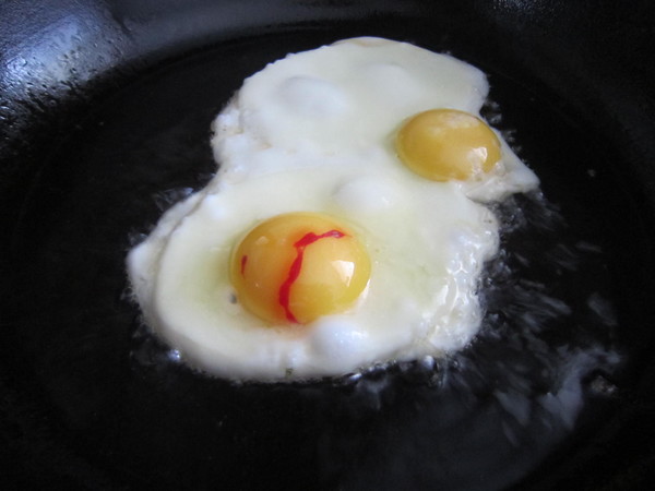 Du sang dans un œuf de poule, peux-tu manger