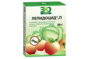 مبيد الجراثيم لعلاج أشجار التفاح في الربيع