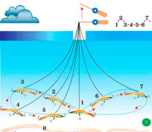 Technique and tactics of catching walleye in winter on a balancer