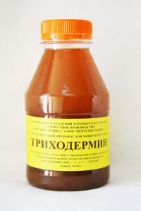 Trichodermin for treating apple trees in spring