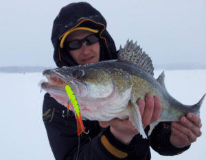 All about fishing for walleye on a balancer in winter