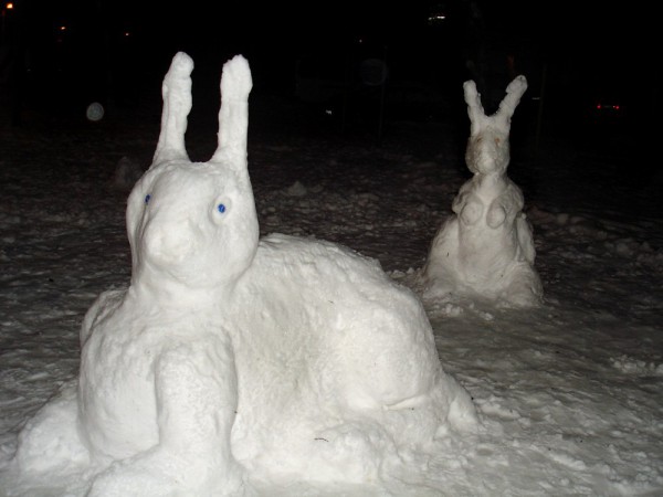 DIY snow hare