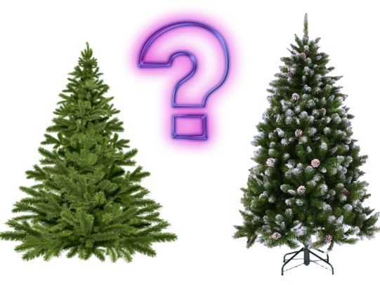 Which is better - a live tree or an artificial one