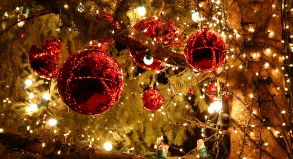 إكليل شجرة عيد الميلاد