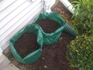 Soil for planting potatoes in bags