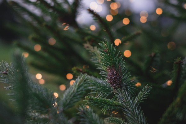 Idées de décoration d'arbre de Noël