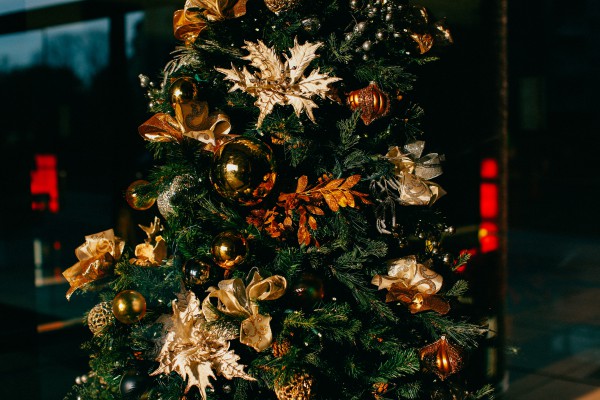 Comment garder un arbre de Noël vivant à la maison plus longtemps