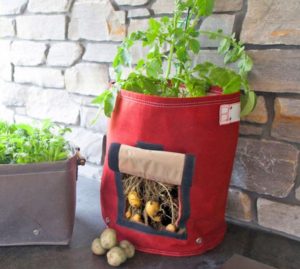 Potato planting bag