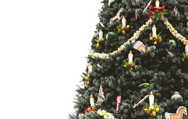 Décorations de Noël sur un arbre de la rue