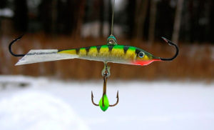 Features of fishing for perch on a balancer in winter