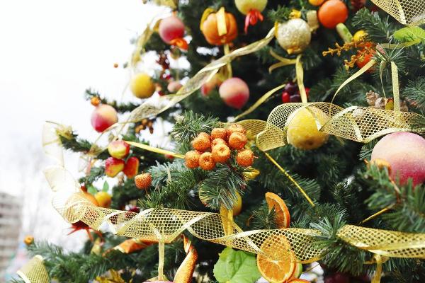 زخرفة شجرة عيد الميلاد الفاكهة الطازجة