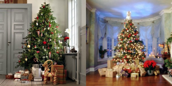 Karácsonyfa választása az új évre