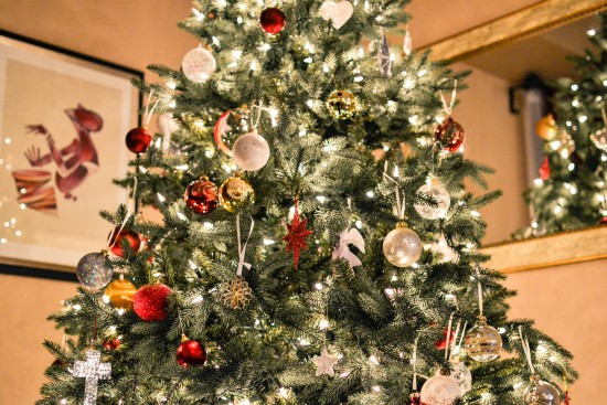 Élő karácsonyfa kiválasztása az új évre