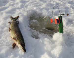 Winter pike fishing