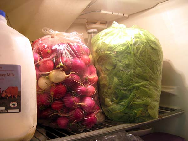 Storing radishes in the refrigerator