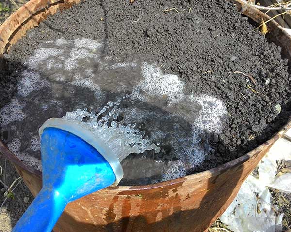 Watering the soil in a barrel