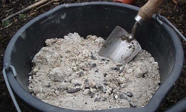 Fertilizing potatoes with wood ash